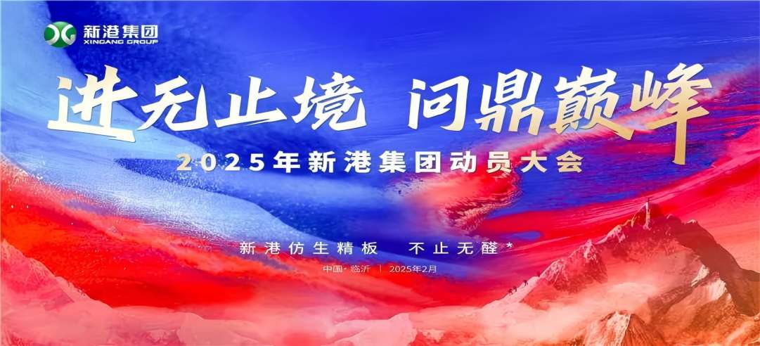進(jìn)無止境，問鼎巔峰！2025年新港集團(tuán)動員大會成功召開！
